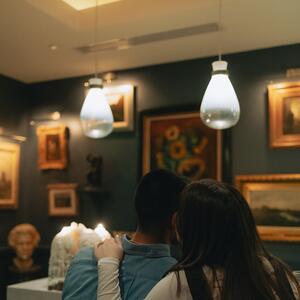Gallery Photo 6