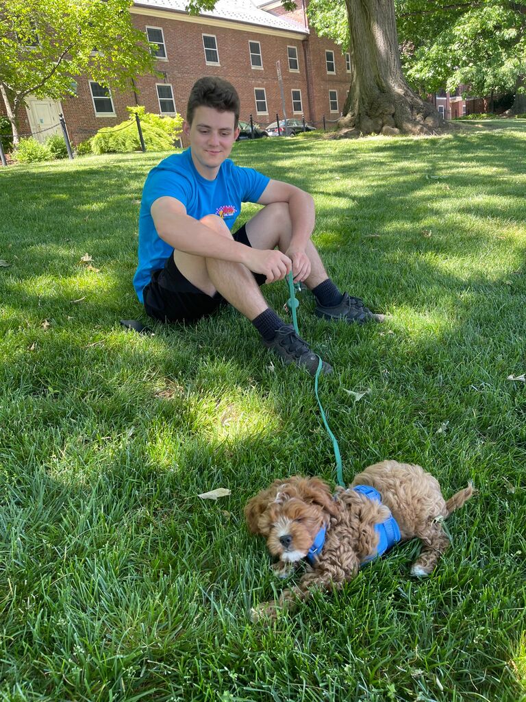 Added our new puppy Brewski to the family