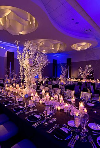 Loews Chicago O’Hare Hotel | Reception Venues - The Knot