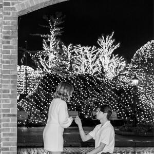 Gallery Photo 15