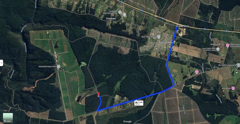 Forest ceremony, where the Cape Pine forest meets the indigenous forest.

En route to Misty Mountains, turn right at the 4 way intersection (left turn takes you to Misty mountains, right turn takes you to the forest ceremony).

Follow the signs at the 4 way intersection. 