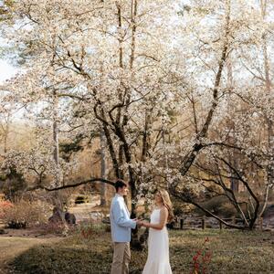 Gallery Photo 20