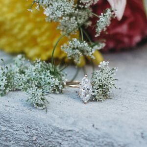 Gallery Photo 23