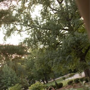 Gallery Photo 16