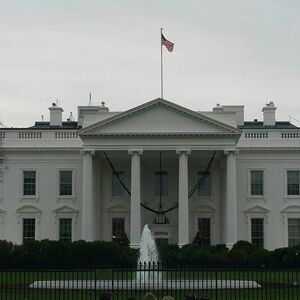 Gallery Photo 9