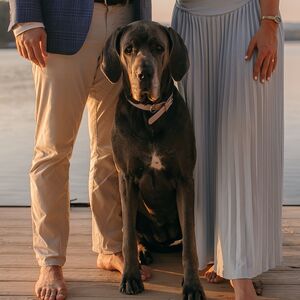 Gallery Photo 9