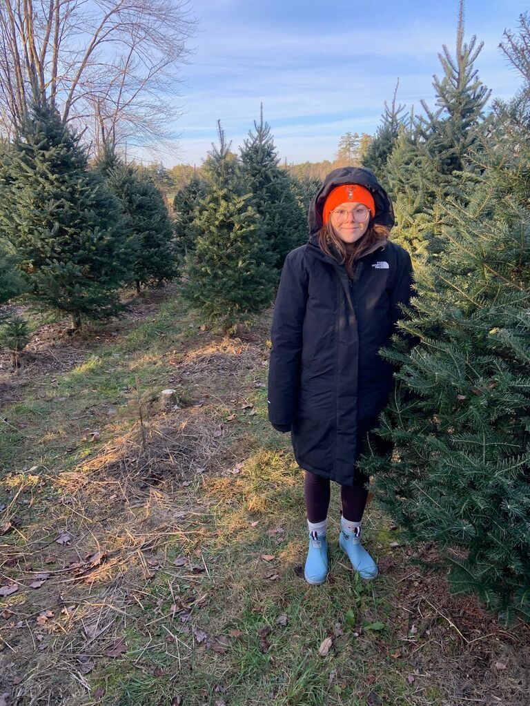 Christmas Tree Selection