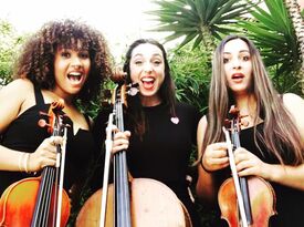 Gemini Strings - String Quartet - Los Angeles, CA - Hero Gallery 4