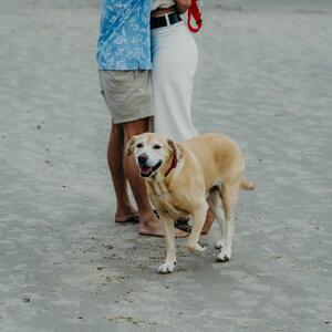 Gallery Photo 22