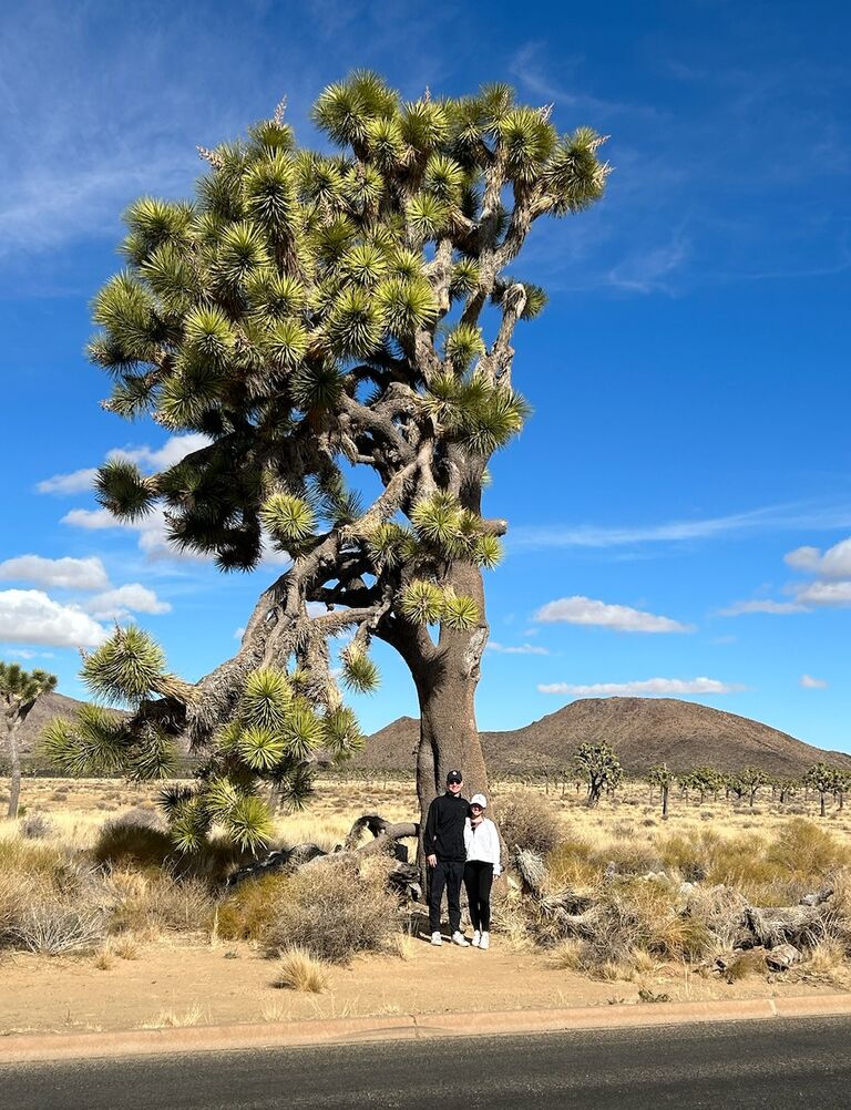 Vacation to Palm Springs, CA