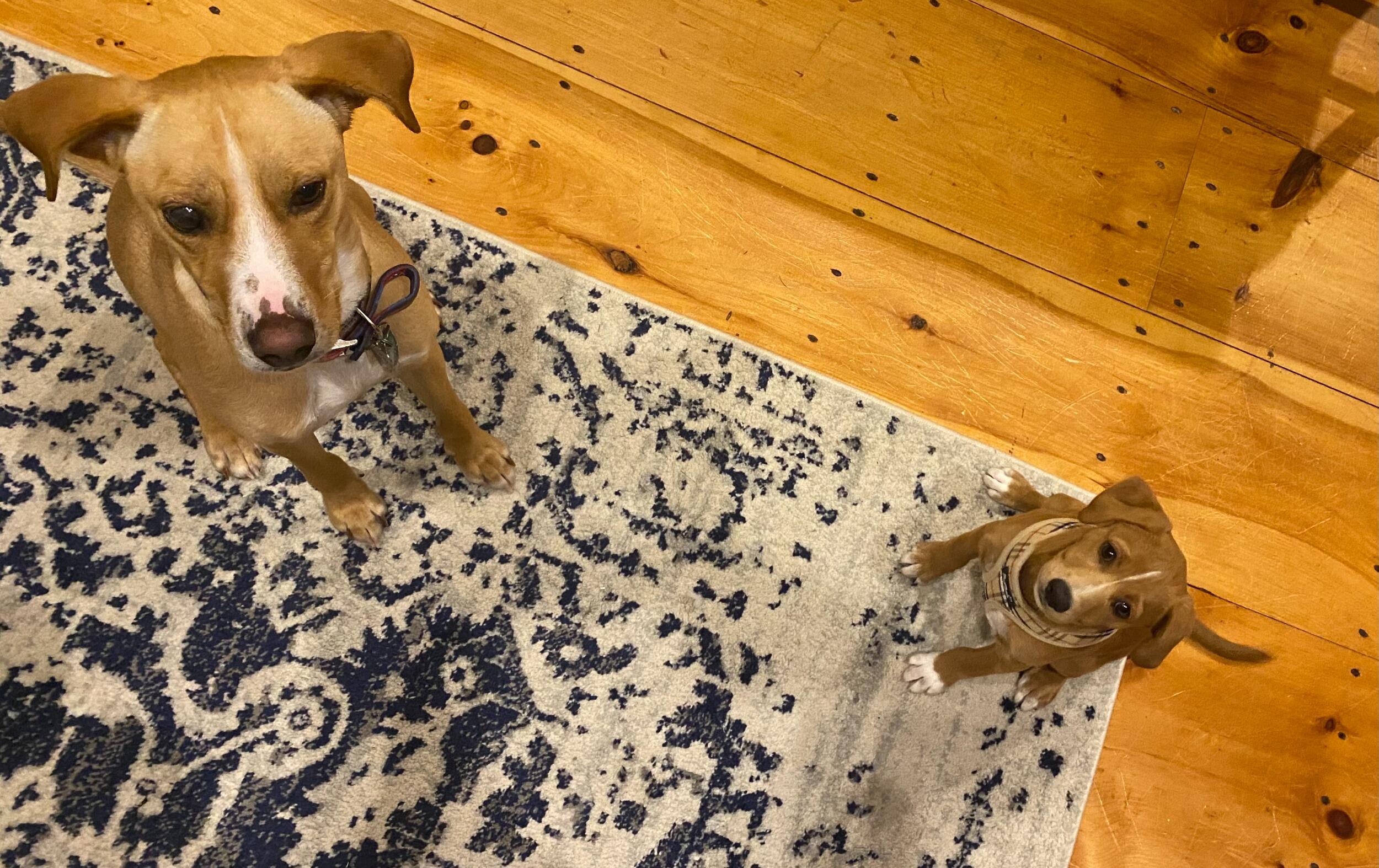 Eleanor and Winston meeting for the first time!