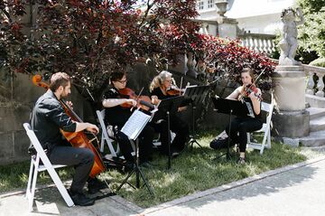 Viva la Strings - String Quartet - Dayton, OH - Hero Main