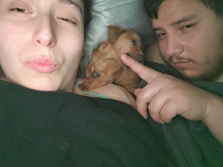 We became PAW-rents to Forky!
San Diego, CA.