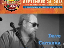 Dave Carmona - Singer Guitarist - Roselle, IL - Hero Gallery 1