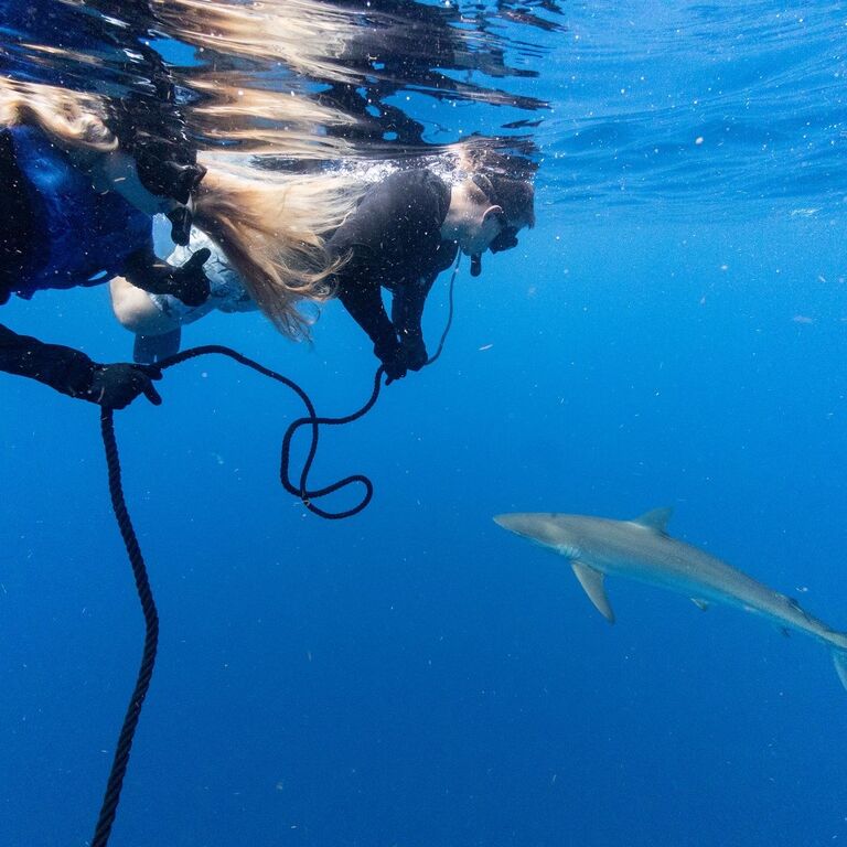 Kamil and Sarah share many memories over the next few years together including swimming with sharks, trips to multiple states all over the country, many hikes and more. 