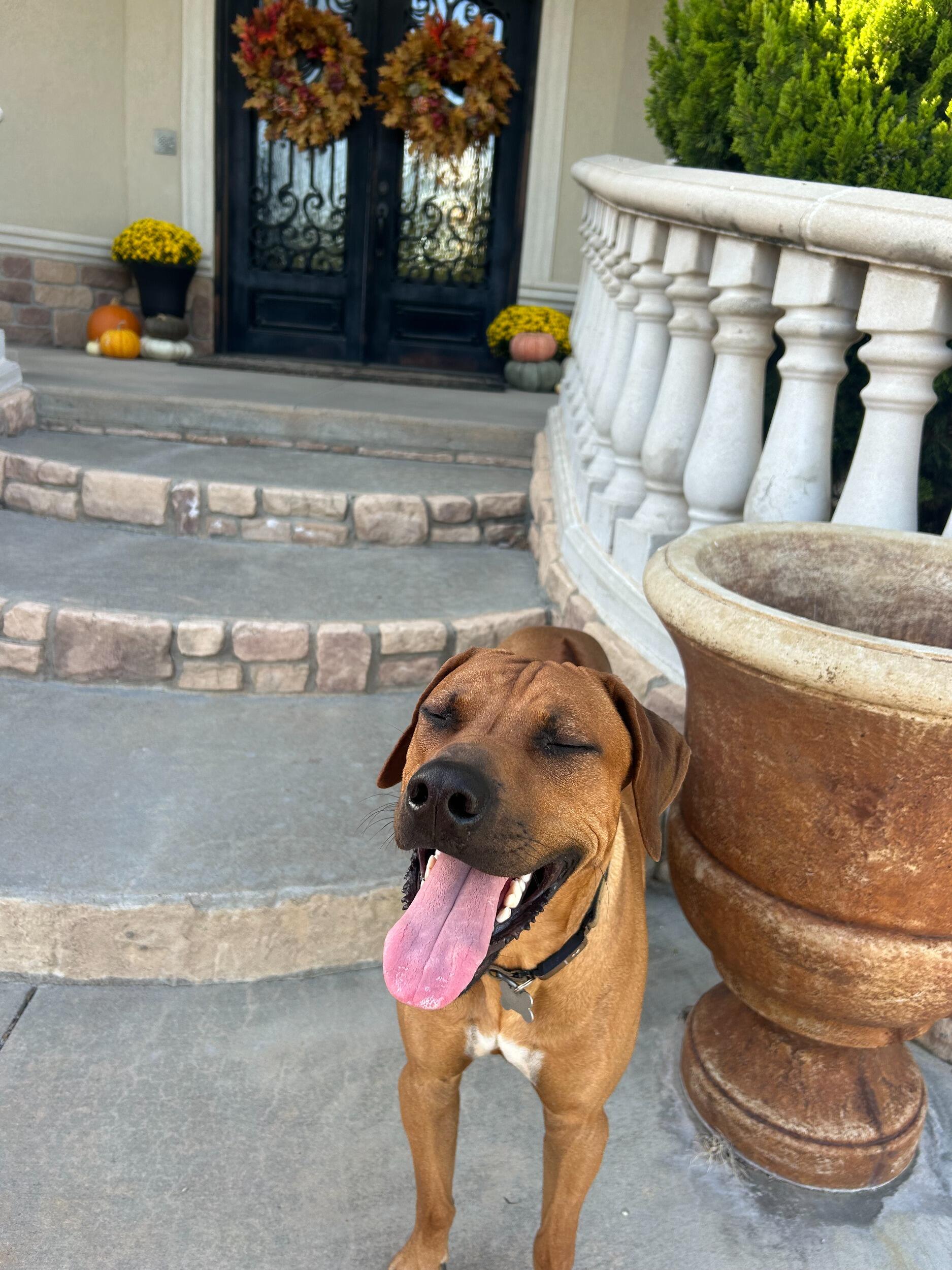 Adopted Bear. Yes, we treat him like our baby.