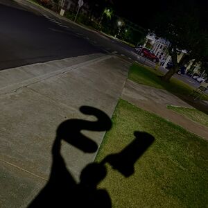 Gallery Photo 39