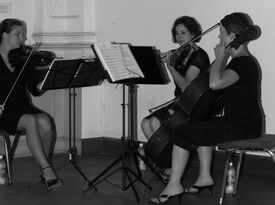 Queen City Quartet - String Quartet - Cincinnati, OH - Hero Gallery 4