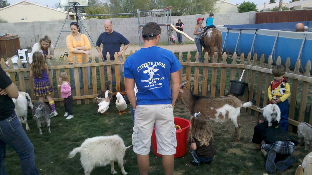 Carter S Farm Petting Zoo Phoenix Az The Bash