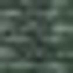 The Greg Bickers Band, profile image