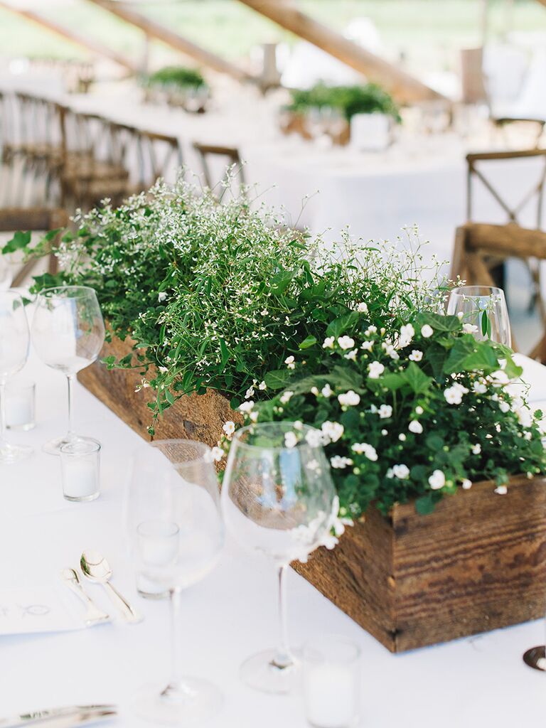 Greenery Centerpiece Ideas