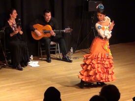Ivan Max - Flamenco Guitarist - Montclair, NJ - Hero Gallery 1