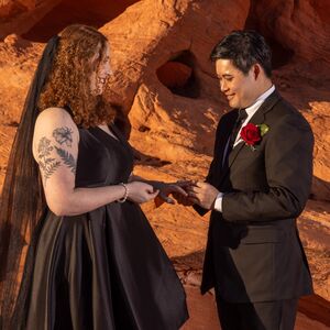 Gallery Photo 7