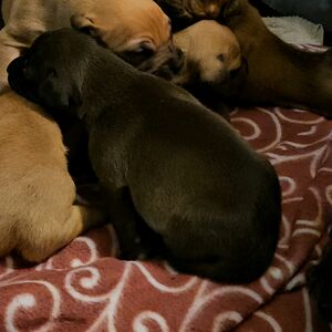 Gallery Photo 138