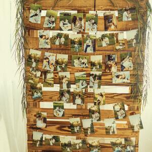 Gallery Photo 9