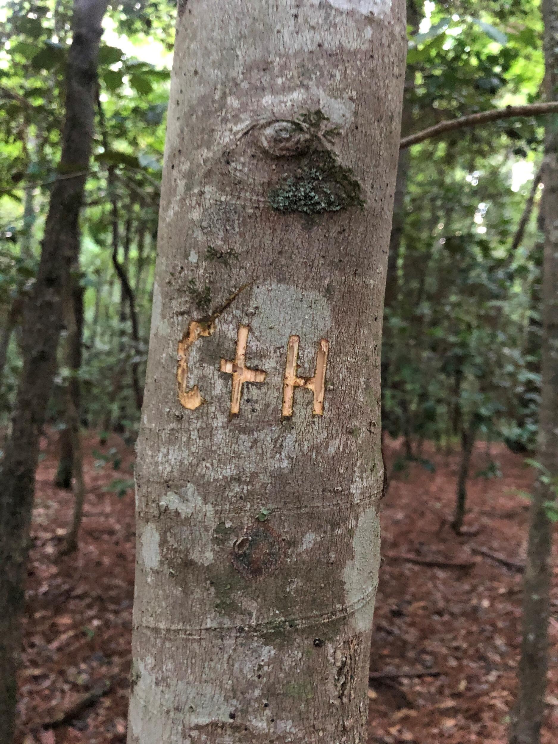 Chris carved our initials into the tree we had our first kiss in front of, and it is still there today.