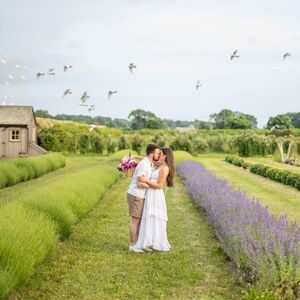 Gallery Photo 5