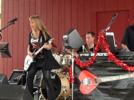 Karen Hart Band - Classic Rock Band - Naperville, IL - Hero Gallery 3