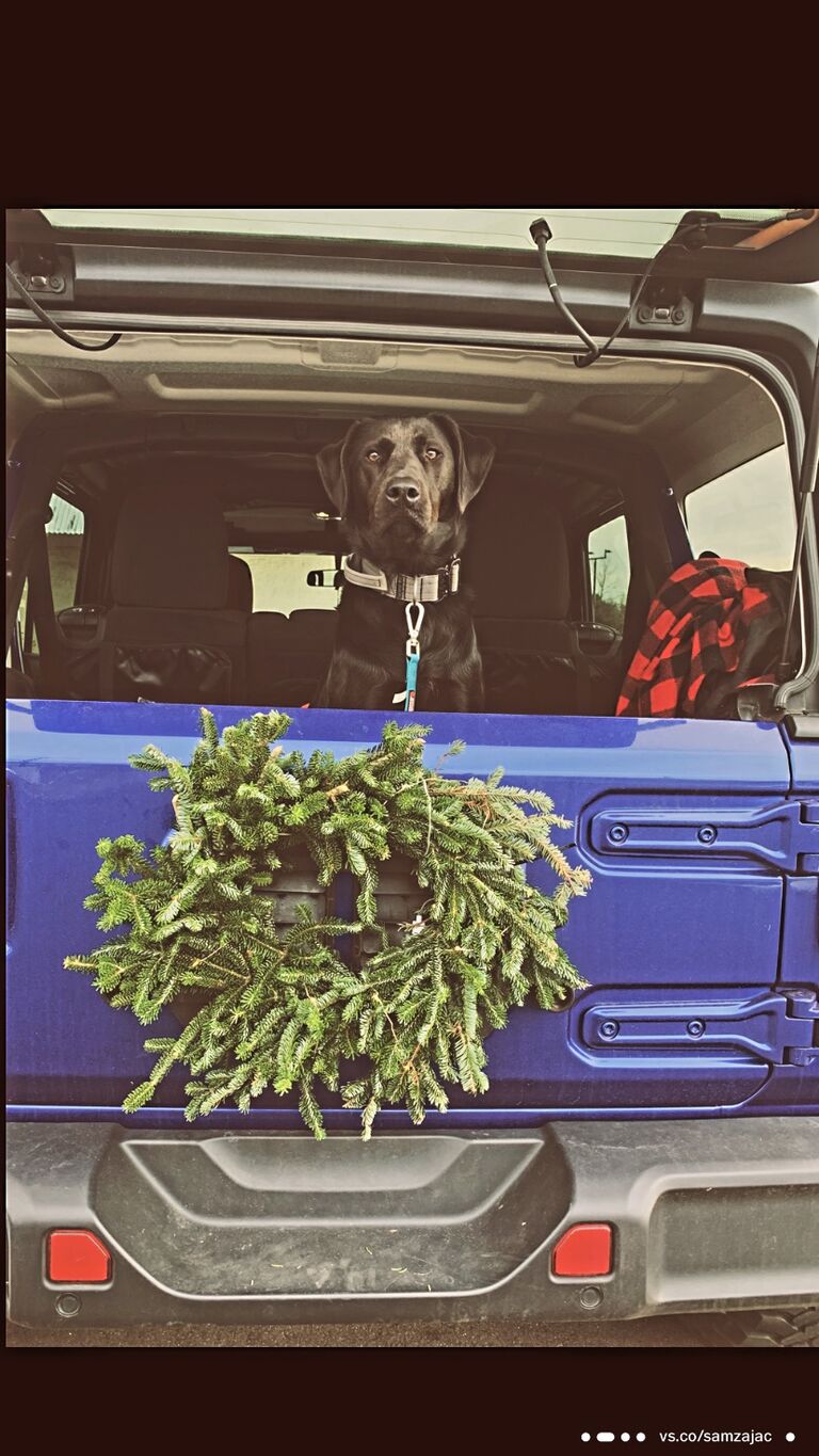 They love to decorate & be merry for the holidays, Nova is no different! She  was the most festive dog for all of the pawlidays!