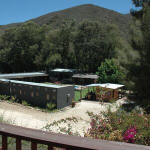 Gallery Photo 1