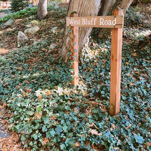 Gallery Photo 31