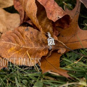 Gallery Photo 22