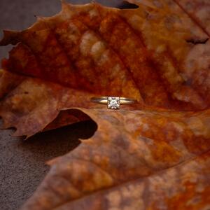 Gallery Photo 42