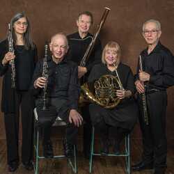 Hudson Valley Chamber Musicians, profile image