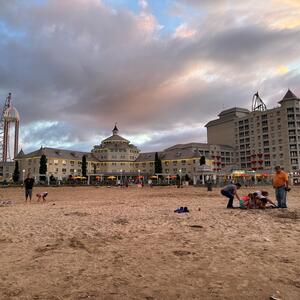 Gallery Photo 28