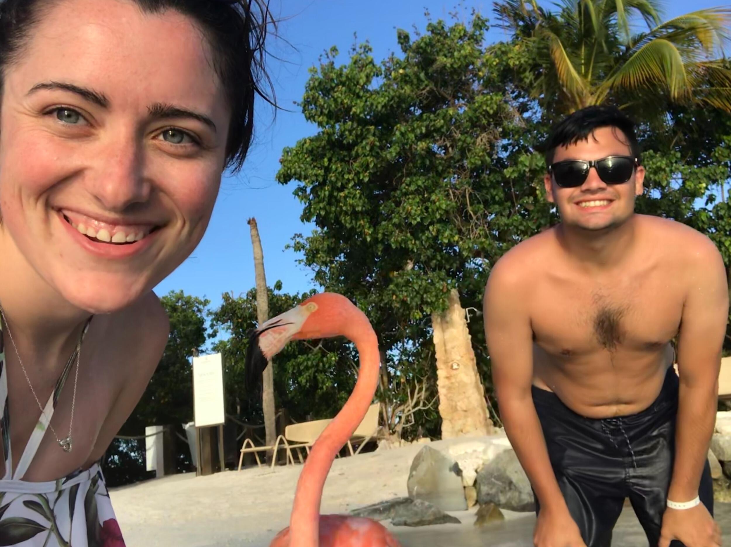 Hanging out with our flamingo friends in Aruba 