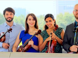 River Oaks String Quartet - String Quartet - Houston, TX - Hero Gallery 1