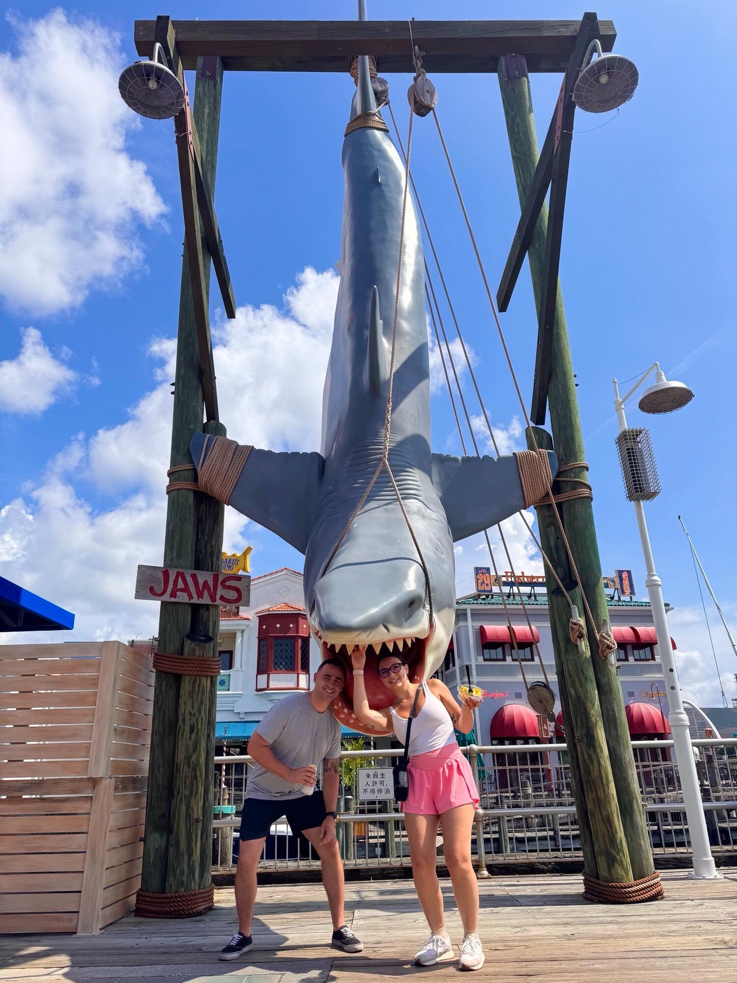 Annual summer vacation to Disney world and Universal studios . 