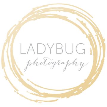 Ladybug Photography - Photographer - Plymouth, MA - Hero Main