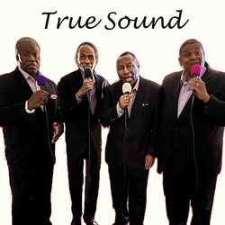 True Sound, profile image