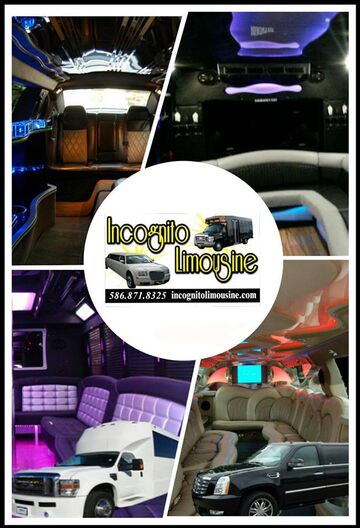 Incognito Limousine and Party Bus - Party Bus - Roseville, MI - Hero Main