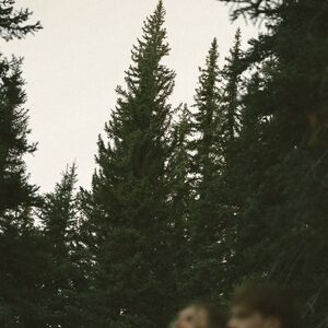 Gallery Photo 65