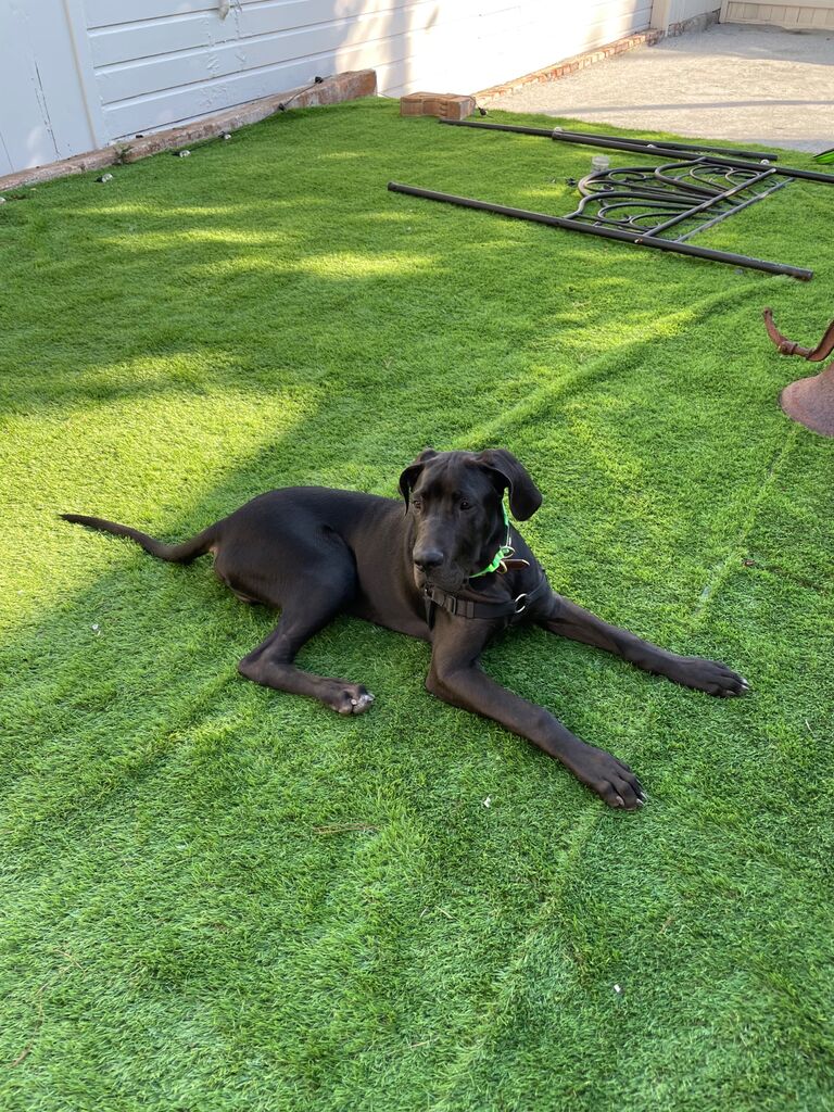 Content with his turf