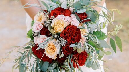 Benken Florist  Florists - The Knot