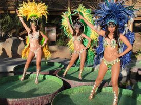 Brazilian Samba Angels - Samba Dancers - Latin Dancer - Los Angeles, CA - Hero Gallery 2
