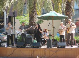 South County Blues Band - Blues Band - San Mateo, CA - Hero Gallery 3